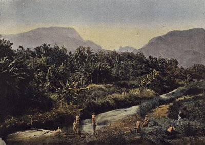 La Pautana - European Photographer